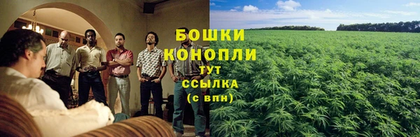 каннабис Белоозёрский