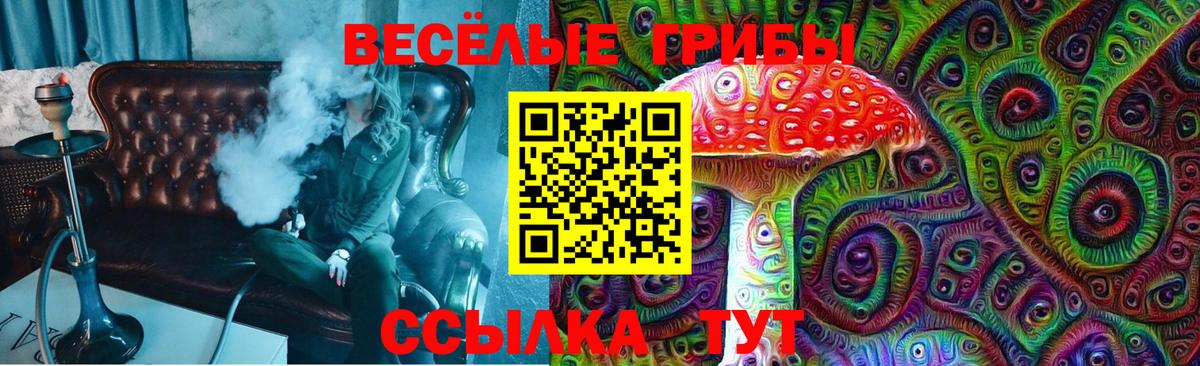 Псилоцибиновые грибы MAGIC MUSHROOMS Верхняя Пышма